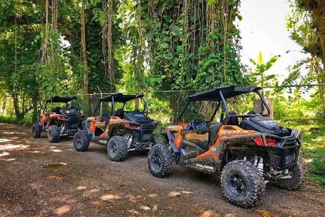 Rastasafari Experience ATV Adventure and Local Day Out - Experience Overview