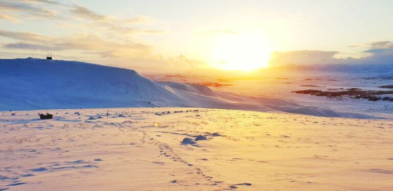 Reykjavik: Buggy Safari Tour With Hotel Transfers Overview Of The Tour