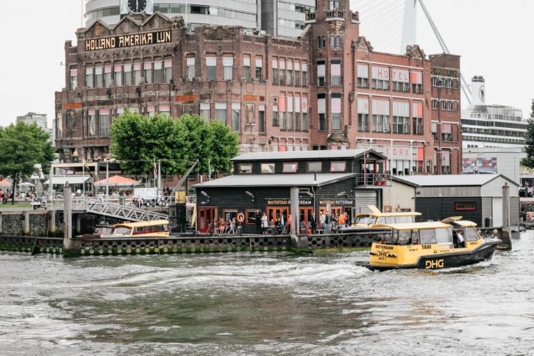 Rotterdam Architecture: Centre And South Bank With Watertaxi Tour Overview