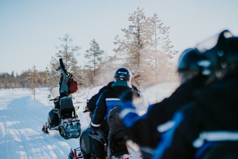 Rovaniemi: 3 Hour Snowmobile Safari In Lapland Snowmobile Safari Overview