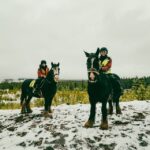 Rovaniemi: Arctic Horse Riding Experience Experience Overview