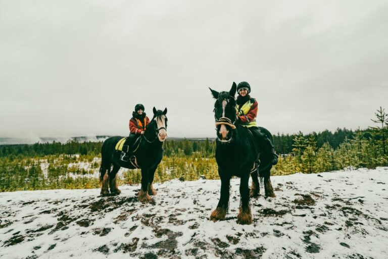 Rovaniemi: Arctic Horse Riding Experience Experience Overview