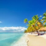 Royalton Punta Cana Round Trip Shuttle Punta Cana Airport Booking Details