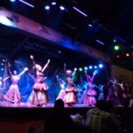 Safari Cat Dancers Show And Dinner Overview And Experience