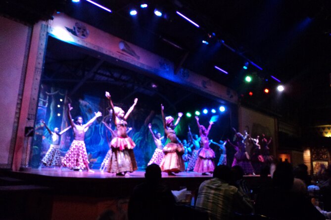 Safari Cat Dancers Show And Dinner - Overview and Experience