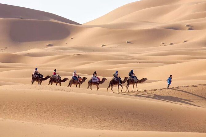 Sahara Adventure 3 Days Marrakech to Fes via Merzouga Desert Tour - Tour Overview