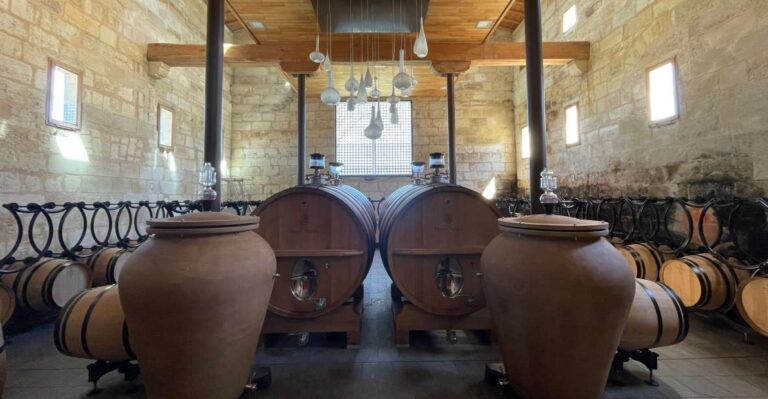 Saint Emilion : Half Day Wine Tour Into Classified Estates Tour Details