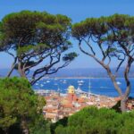 Saint Tropez Full Day Tour From Nice Tour Details