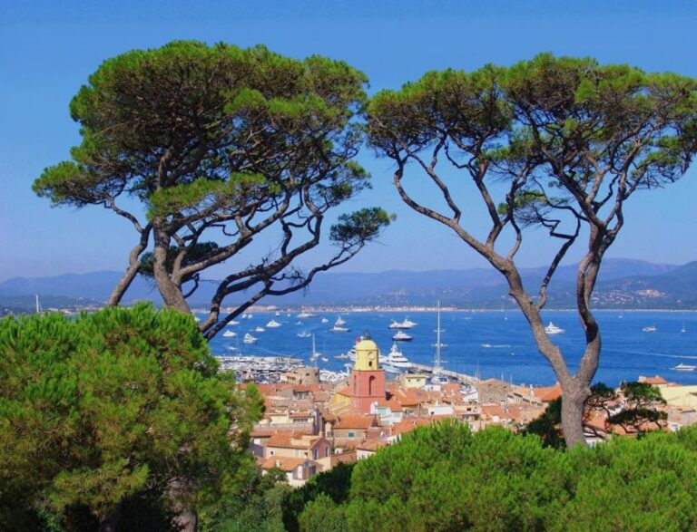 Saint Tropez Full Day Tour From Nice Tour Details