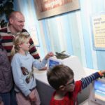 Sea Life Blackpool Entrance Ticket Aquatic Creatures On Display