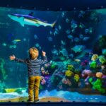 Sea Life Timmendorfer Strand Ticket Location And Directions