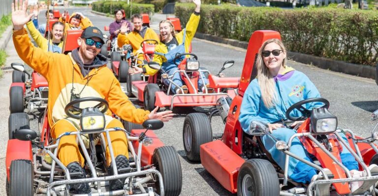 Shibuya Go Karting Tour Review: Fun In Costumes Tour Overview And Pricing