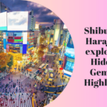 Shibuya & Harajuku Exploring Hidden Gems & Highlights Tour Tour Overview