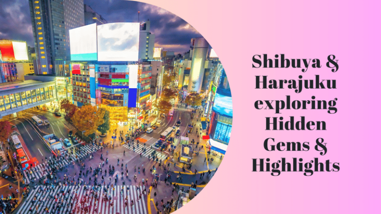 Shibuya & Harajuku Exploring Hidden Gems & Highlights Tour Tour Overview