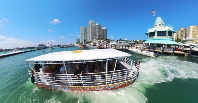 Sightseeing Cruise Miami Beach Activity Overview