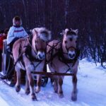 Sleigh Ride W/ Snacks Experience Arctic Farm Life Sleigh Ride Through Mathisdalen Valley