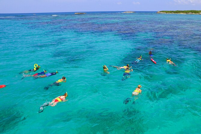 Snorkel to a Locals Secret Spot | Private Charter - Snorkeling Experience and Marine Life