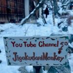 Snow Monkey Park Day Tour Pick Up And Drop Off From Nagano Tour Overview And Pricing