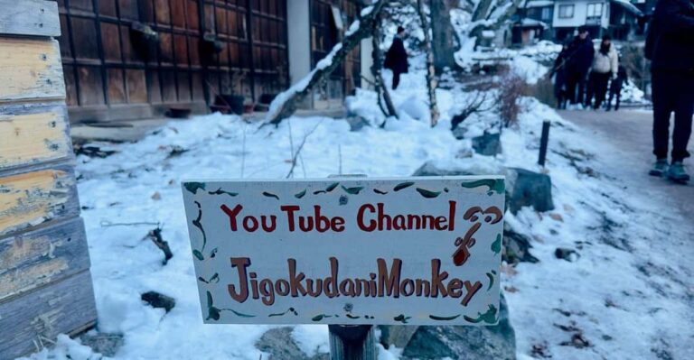 Snow Monkey Park Day Tour Pick Up And Drop Off From Nagano Tour Overview And Pricing