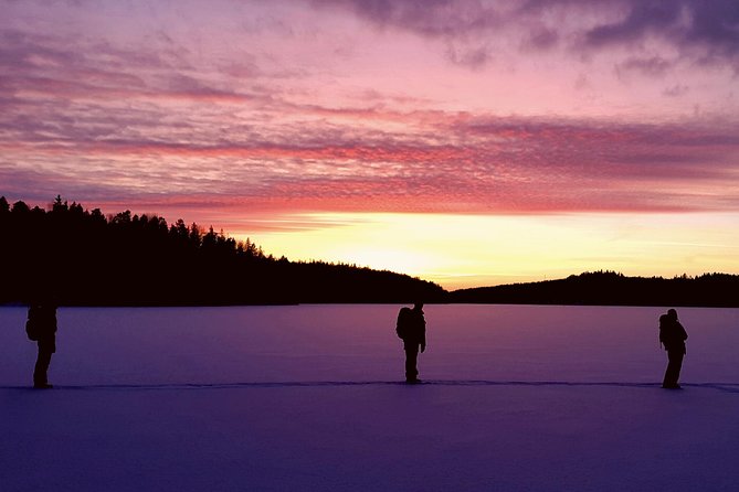 Snowshoe Winter Hike From Stockholm - Exploring the Winter Landscape