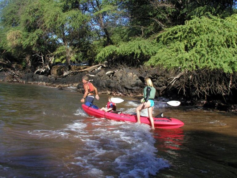 South Maui: Whale Watch Kayaking And Snorkel Tour In Kihei Tour Overview And Pricing