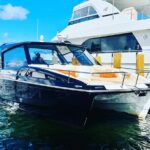 St. John Luxury Catamaran Turtle Snorkel And Cays Full Day Snorkeling At Watermelon Cay