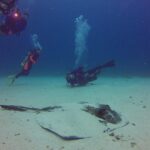 St Maarten Scuba Diving For Certified Divers Included In The Tour