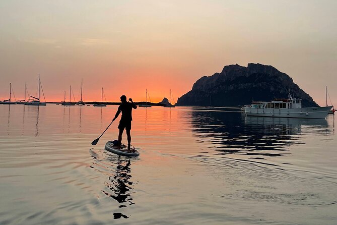 Stand Up Paddle Tour Dolphins Experience Golfo Aranci Additional Information