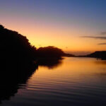 Stand Up Paddleboard: Amazing Sunrise At Mangrove River Activity Overview