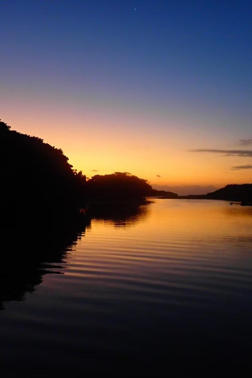 Stand Up Paddleboard: Amazing Sunrise at Mangrove River - Activity Overview