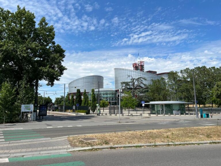 Strasbourg : European District Walking Tour Tour Overview