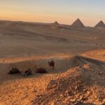 Sunset At Giza Pyramids By Camels Inclusions