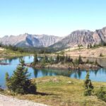 Sunshine Meadows Vistas Guided Hike (easy) Tour Overview