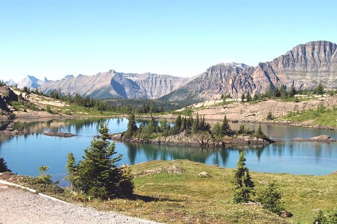 Sunshine Meadows Vistas Guided Hike (easy) Tour Overview