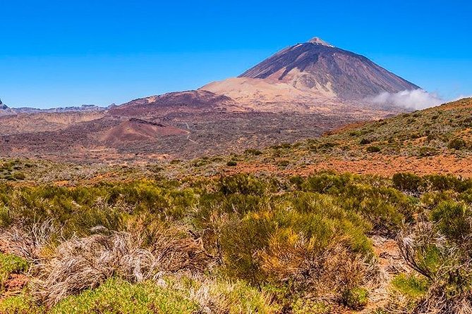 Tenerife Highlights Full-Day Tour - Mt. Teide National Park Exploration