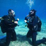 Tenerife: Private Scuba Diving Experience With Photos Overview And Pricing