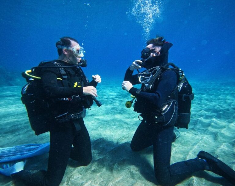 Tenerife: Private Scuba Diving Experience With Photos Overview And Pricing