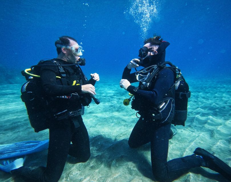 Tenerife: Private Scuba Diving Experience With Photos - Overview and Pricing