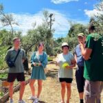 The Olive Oil Experience @ Lefkada Micro Farm Experience Overview