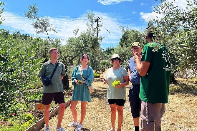 The Olive Oil Experience @ Lefkada Micro Farm - Experience Overview