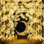 The Princess Kaguyas Glowing Garden In Sakuramachi Kumamoto Event Overview