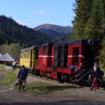 The Trains Of Romania In 9 Days Tour Overview And Pricing