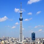 Tokyo: Full Day Sightseeing Bus Tour Tour Overview