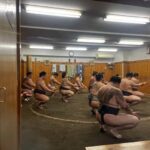 Tokyo Highlights Tour Review: Sumo, Sushi, Tea Tour Overview