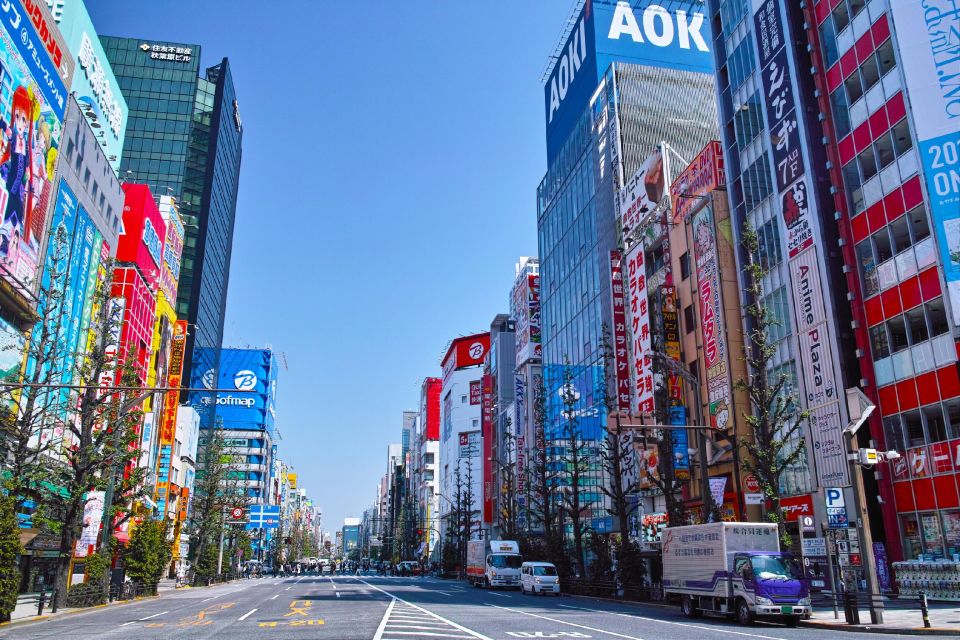 Tokyo: Private Full-Day Tour With Hotel Pickup - Tour Overview