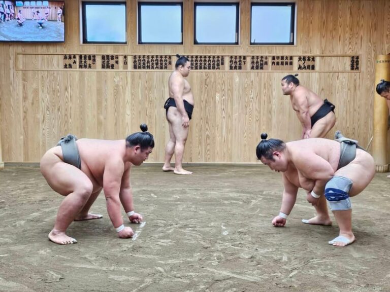 Tokyo Sumo Morning Practice Tour With Private Car Transfer Tour Overview And Details