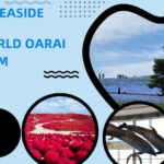 Tokyo:hitachi Seaside Park And Aquaworld Oarai Aquarium Tour Tour Overview