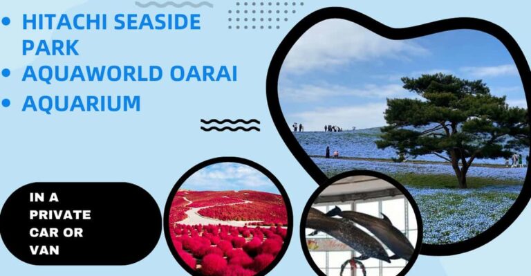 Tokyo:hitachi Seaside Park And Aquaworld Oarai Aquarium Tour Tour Overview