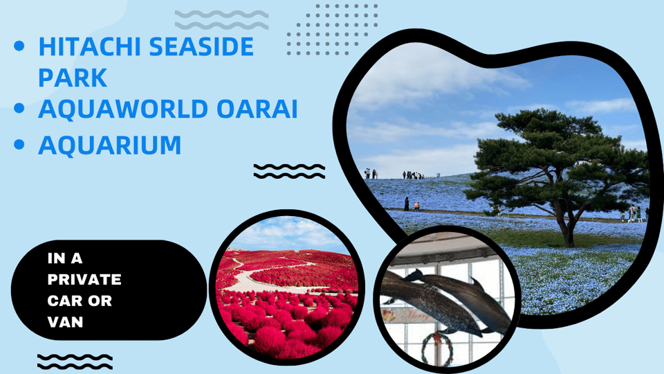 Tokyo:Hitachi Seaside Park and Aquaworld Oarai Aquarium Tour - Highlights and Experiences