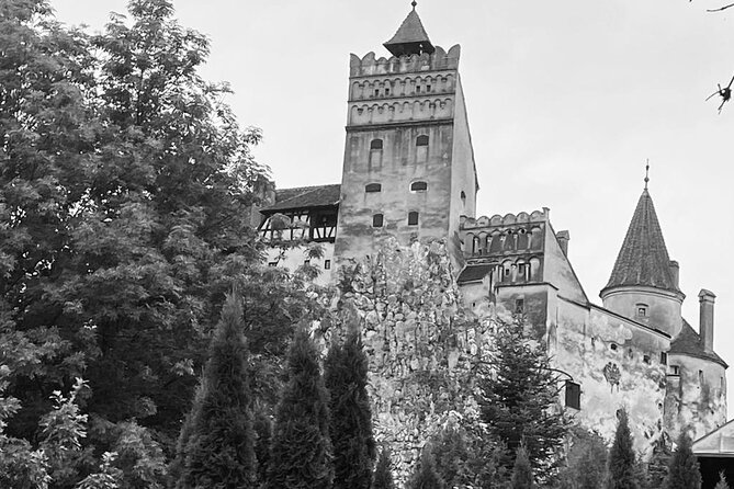 Transylvania and Draculas Castle, Brasov and Peles Castle From Bucharest - Itinerary Highlights